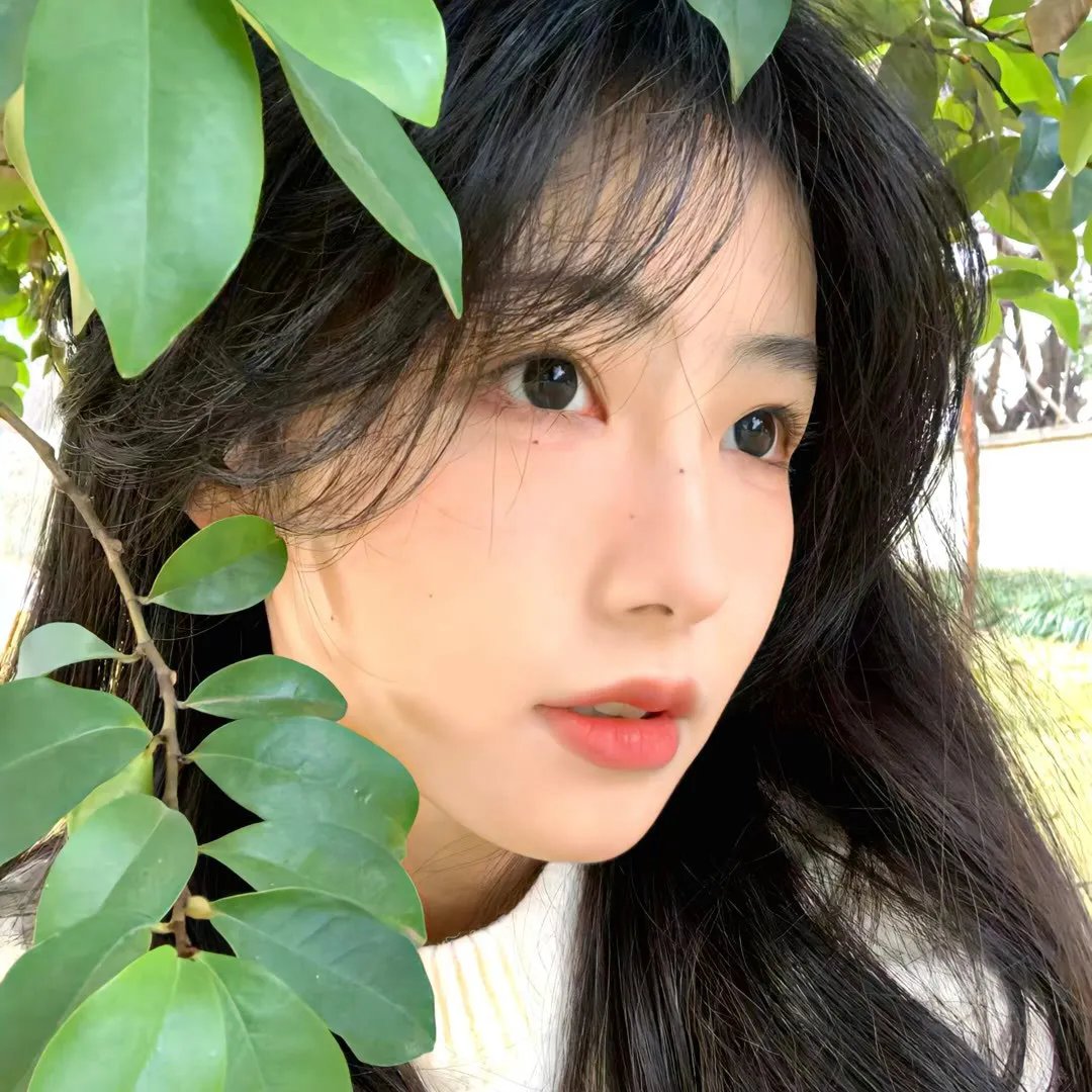沉默的镜像